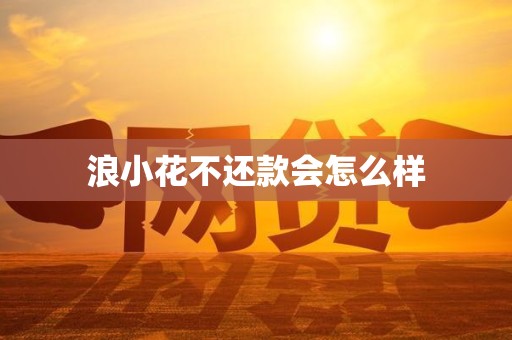 浪小花不还款会怎么样