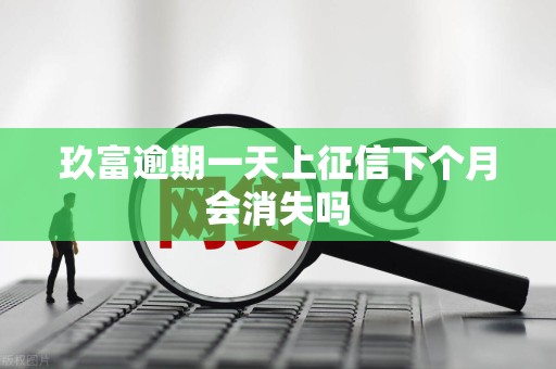 玖富逾期一天上征信下个月会消失吗