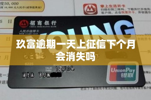 玖富逾期一天上征信下个月会消失吗