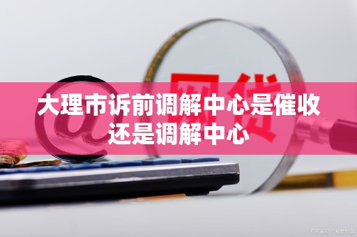 大理市诉前调解中心是催收还是调解中心
