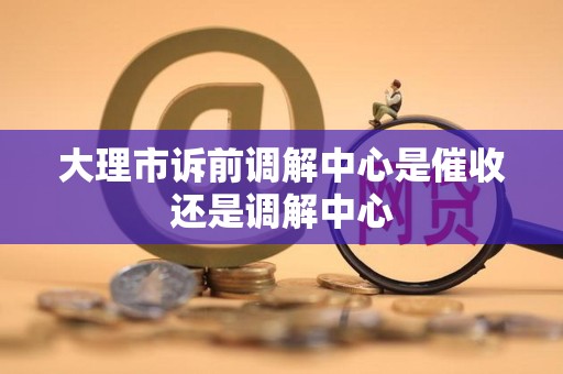 大理市诉前调解中心是催收还是调解中心