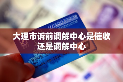 大理市诉前调解中心是催收还是调解中心