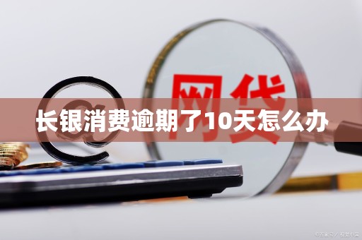 长银消费逾期了10天怎么办