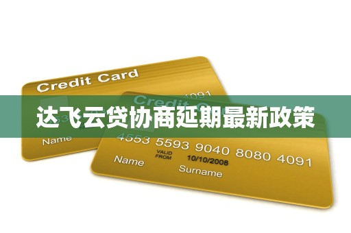 达飞云贷协商延期最新政策
