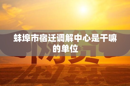 蚌埠市宿迁调解中心是干嘛的单位
