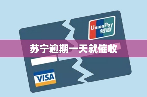 苏宁逾期一天就催收