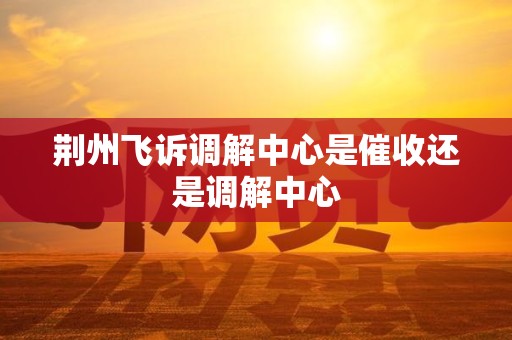 荆州飞诉调解中心是催收还是调解中心