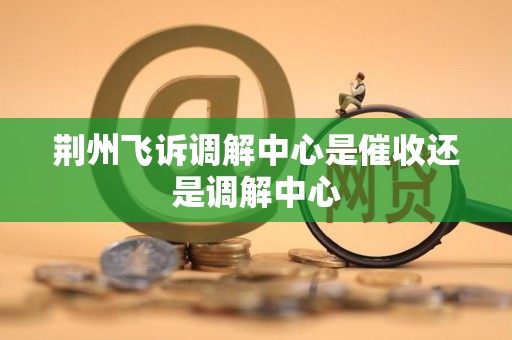 荆州飞诉调解中心是催收还是调解中心