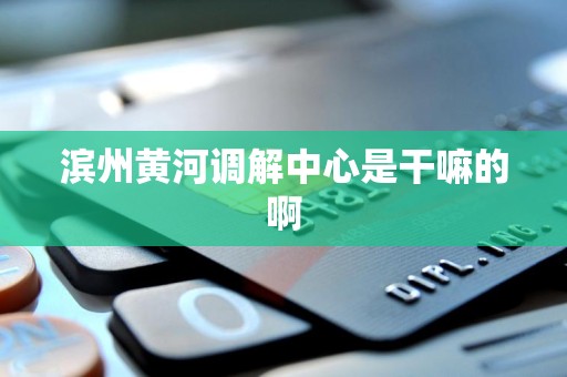 滨州黄河调解中心是干嘛的啊