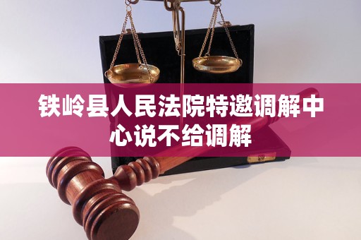 铁岭县人民法院特邀调解中心说不给调解
