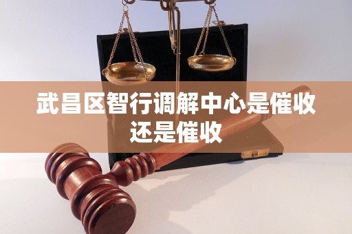 武昌区智行调解中心是催收还是催收