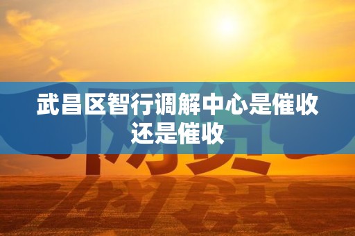 武昌区智行调解中心是催收还是催收