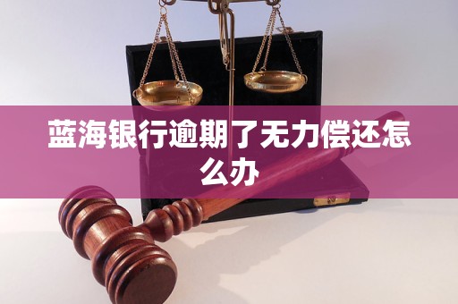 蓝海银行逾期了无力偿还怎么办