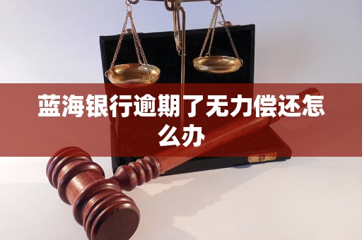 蓝海银行逾期了无力偿还怎么办