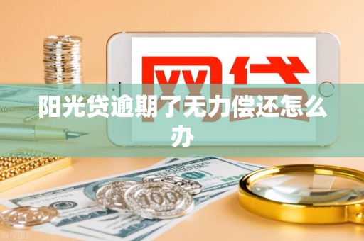 阳光贷逾期了无力偿还怎么办