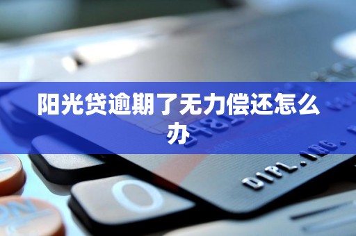 阳光贷逾期了无力偿还怎么办