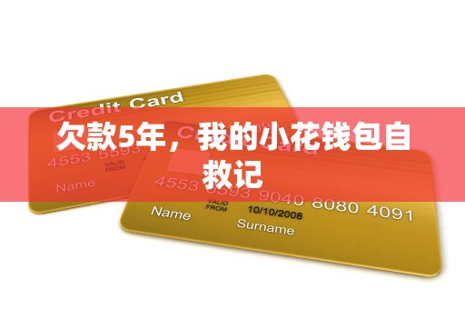 欠款5年,我的小花钱包自救记