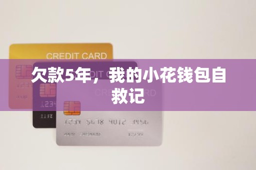 欠款5年,我的小花钱包自救记
