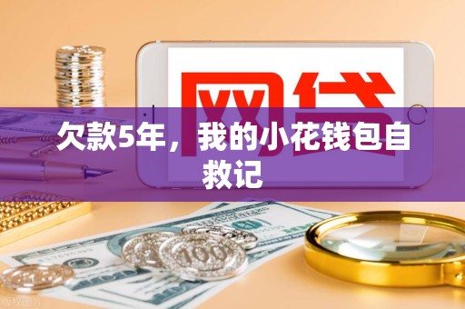 欠款5年,我的小花钱包自救记