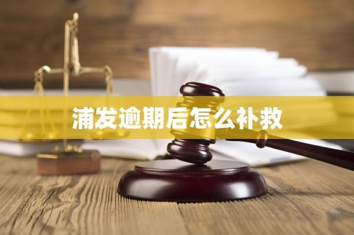 浦发逾期后怎么补救