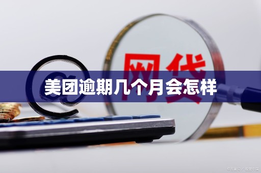 美团逾期几个月会怎样