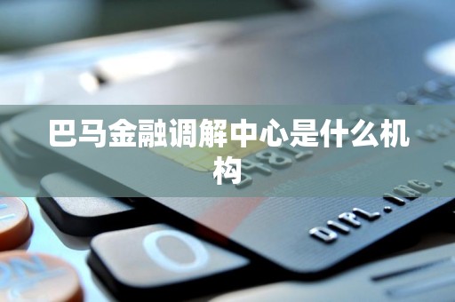 巴马金融调解中心是什么机构