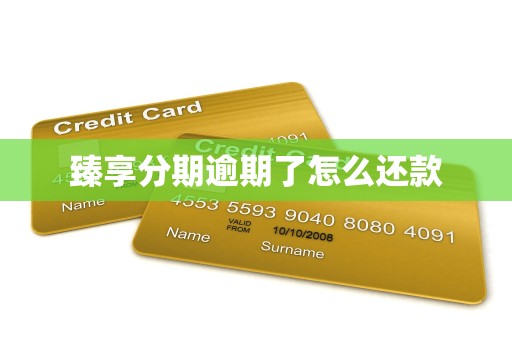 臻享分期逾期了怎么还款