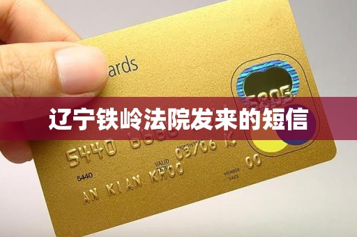 辽宁铁岭法院发来的短信