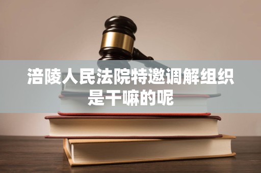 涪陵人民法院特邀调解组织是干嘛的呢