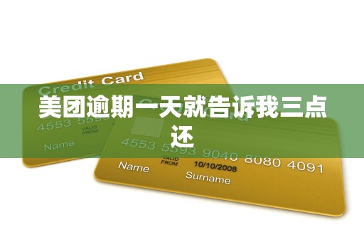 美团逾期一天就告诉我三点还