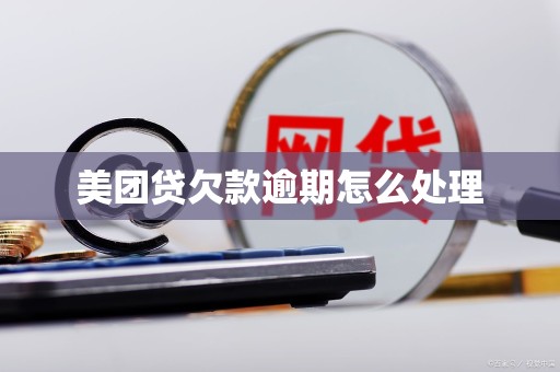 美团贷欠款逾期怎么处理