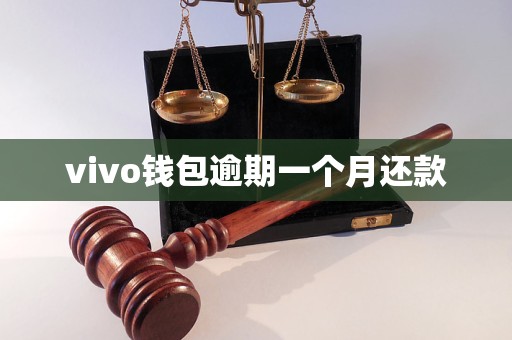 vivo钱包逾期一个月还款