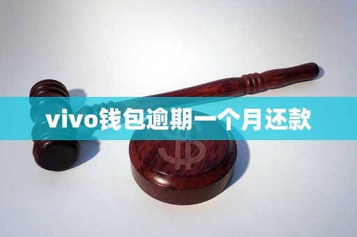 vivo钱包逾期一个月还款