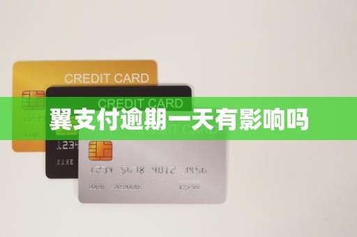 翼支付逾期一天有影响吗