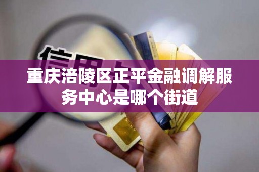 重庆涪陵区正平金融调解服务中心是哪个街道