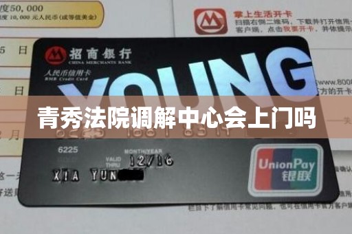 青秀法院调解中心会上门吗