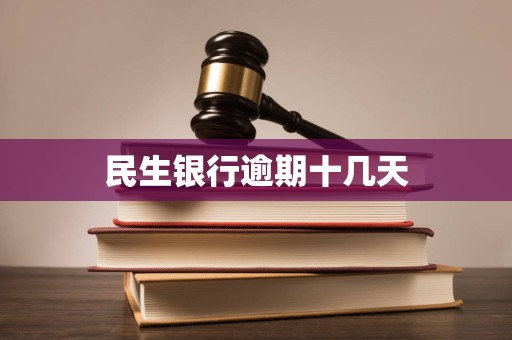 民生银行逾期十几天