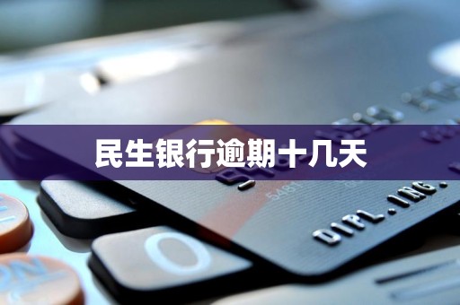 民生银行逾期十几天