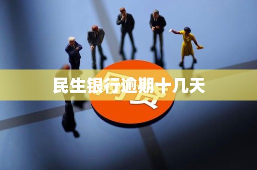 民生银行逾期十几天