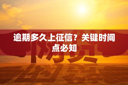 逾期多久上征信?关键时间点必知