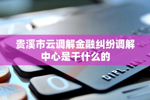 贵溪市云调解金融纠纷调解中心是干什么的