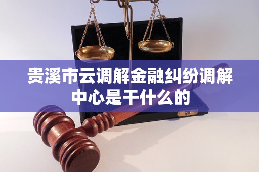 贵溪市云调解金融纠纷调解中心是干什么的