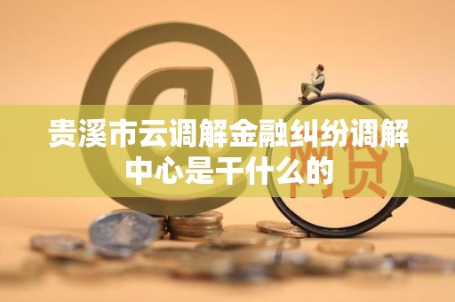 贵溪市云调解金融纠纷调解中心是干什么的