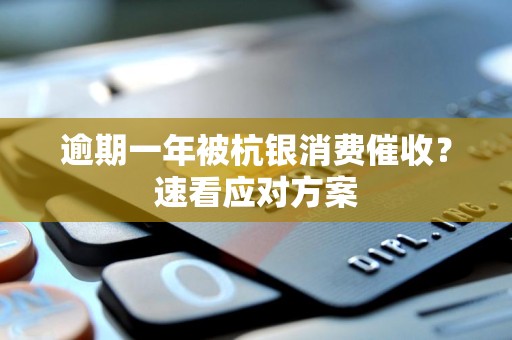 逾期一年被杭银消费催收?速看应对方案
