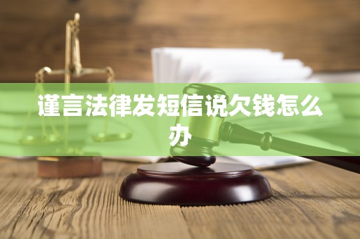 谨言法律发短信说欠钱怎么办