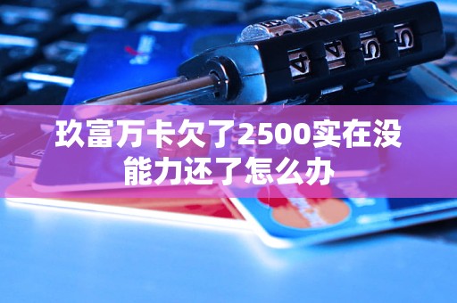 玖富万卡欠了2500实在没能力还了怎么办