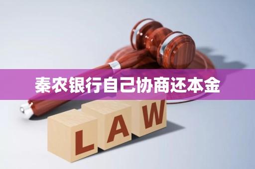秦农银行自己协商还本金