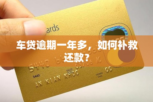 车贷逾期一年多,如何补救还款?
