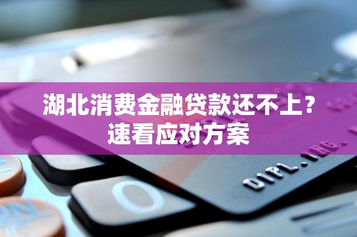 湖北消费金融贷款还不上？速看应对方案