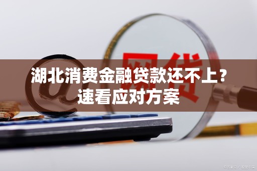 湖北消费金融贷款还不上?速看应对方案